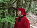 Cammino di Dante - Il bosco