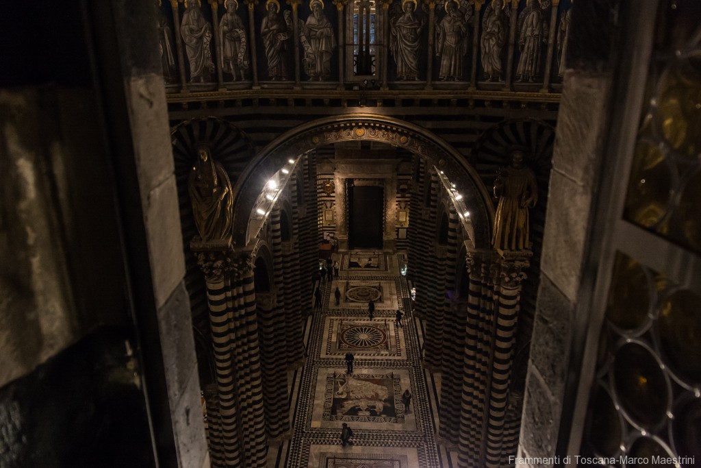 Cielo del Duomo di Siena