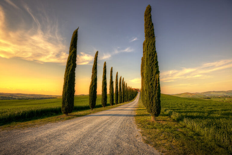 val d'orcia cosa vedere