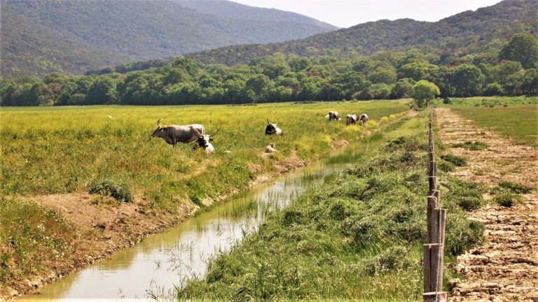parco maremma toscana